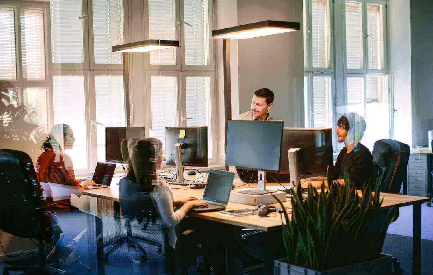 software company in bangladesh.